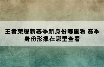 王者荣耀新赛季新身份哪里看 赛季身份形象在哪里查看